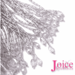 franja de canutilho 15cm com ponteira de cristal - Imagem 2