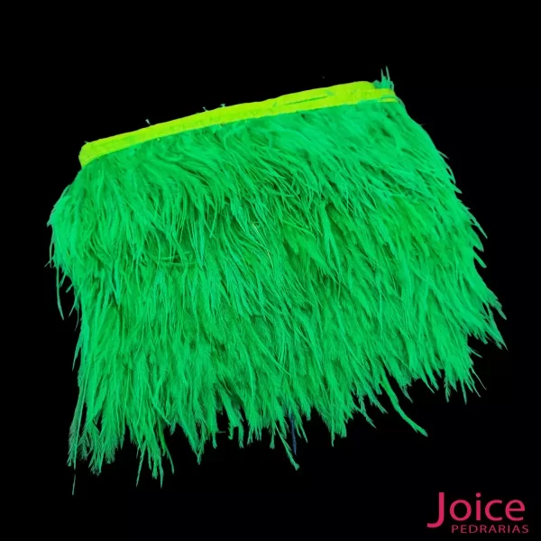 Verde Bandeira