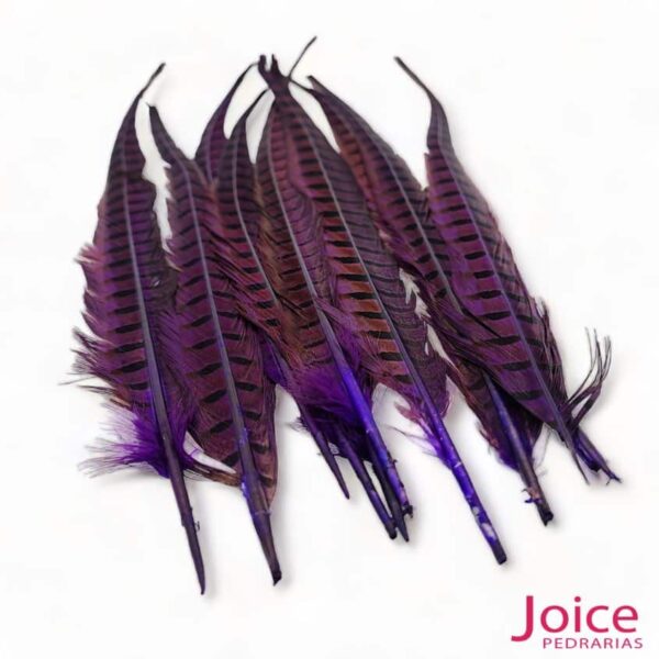 Roxo